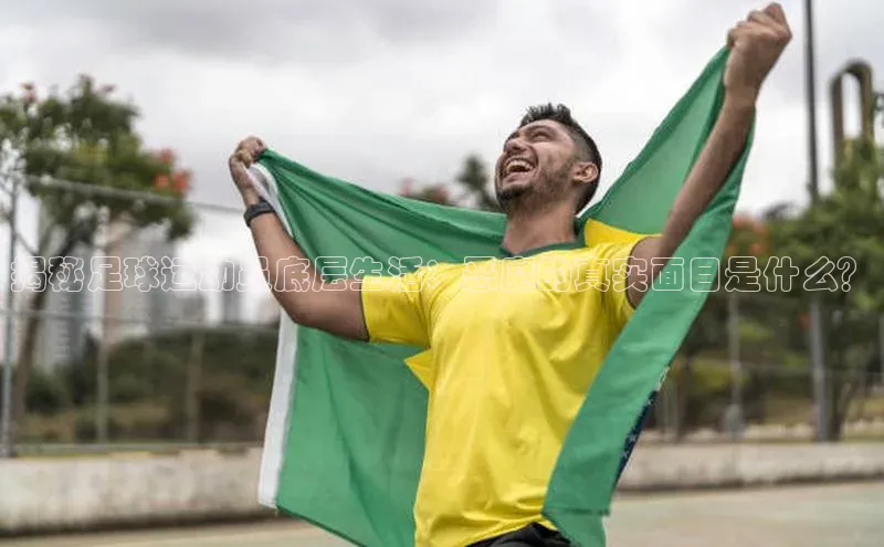 意昂体育4代理福石控股