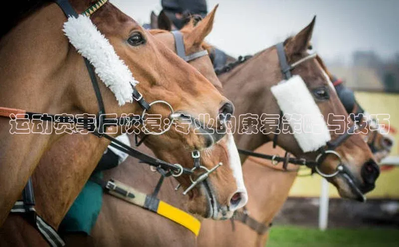 意昂4挪威主权基金